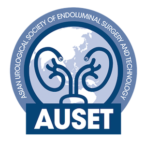 AUSET Logo 2024